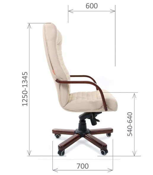 Кресла руководителя CHAIRMAN 480 WD